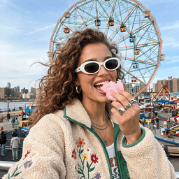 Ferris Wheel