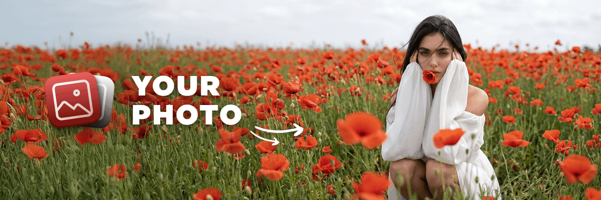 Poppy Field